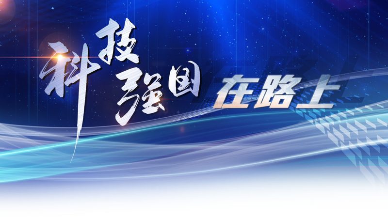 数据湖与数据仓库：适用场景深度解析